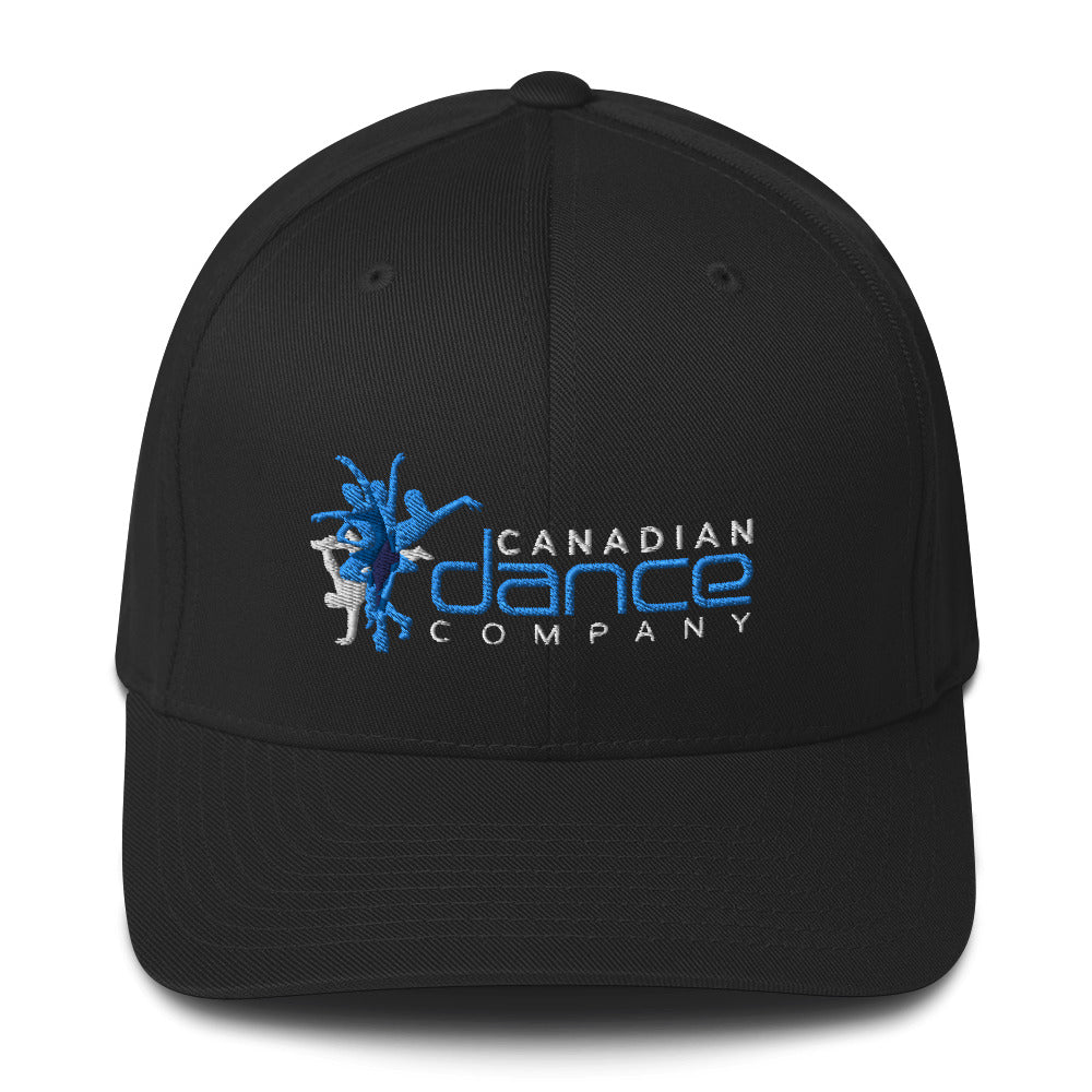 Fitted Hat (6 Colours)
