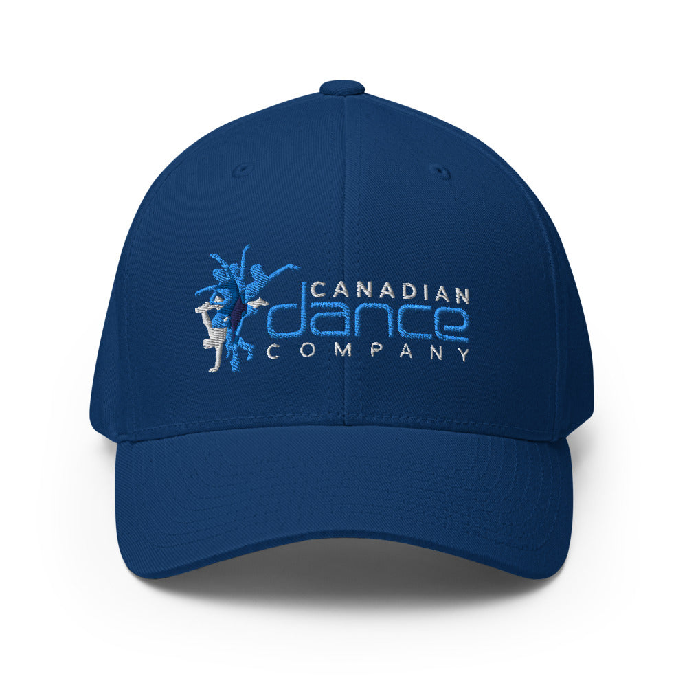 Fitted Hat (6 Colours)