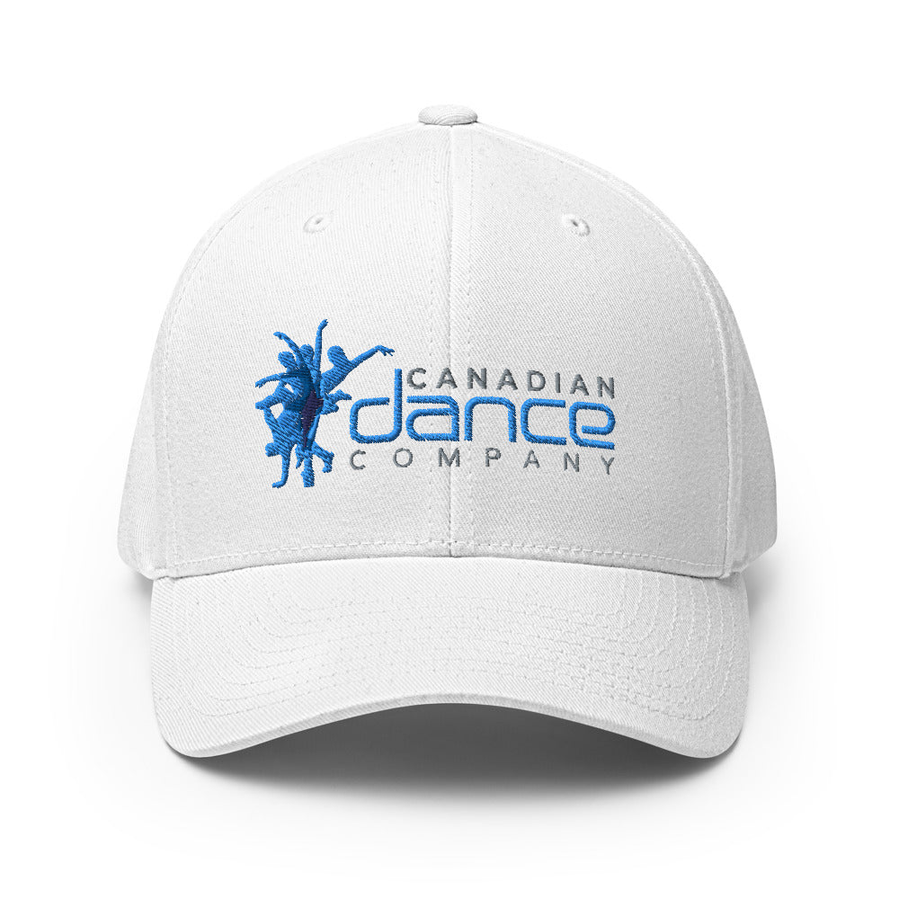 Fitted Hat (6 Colours)
