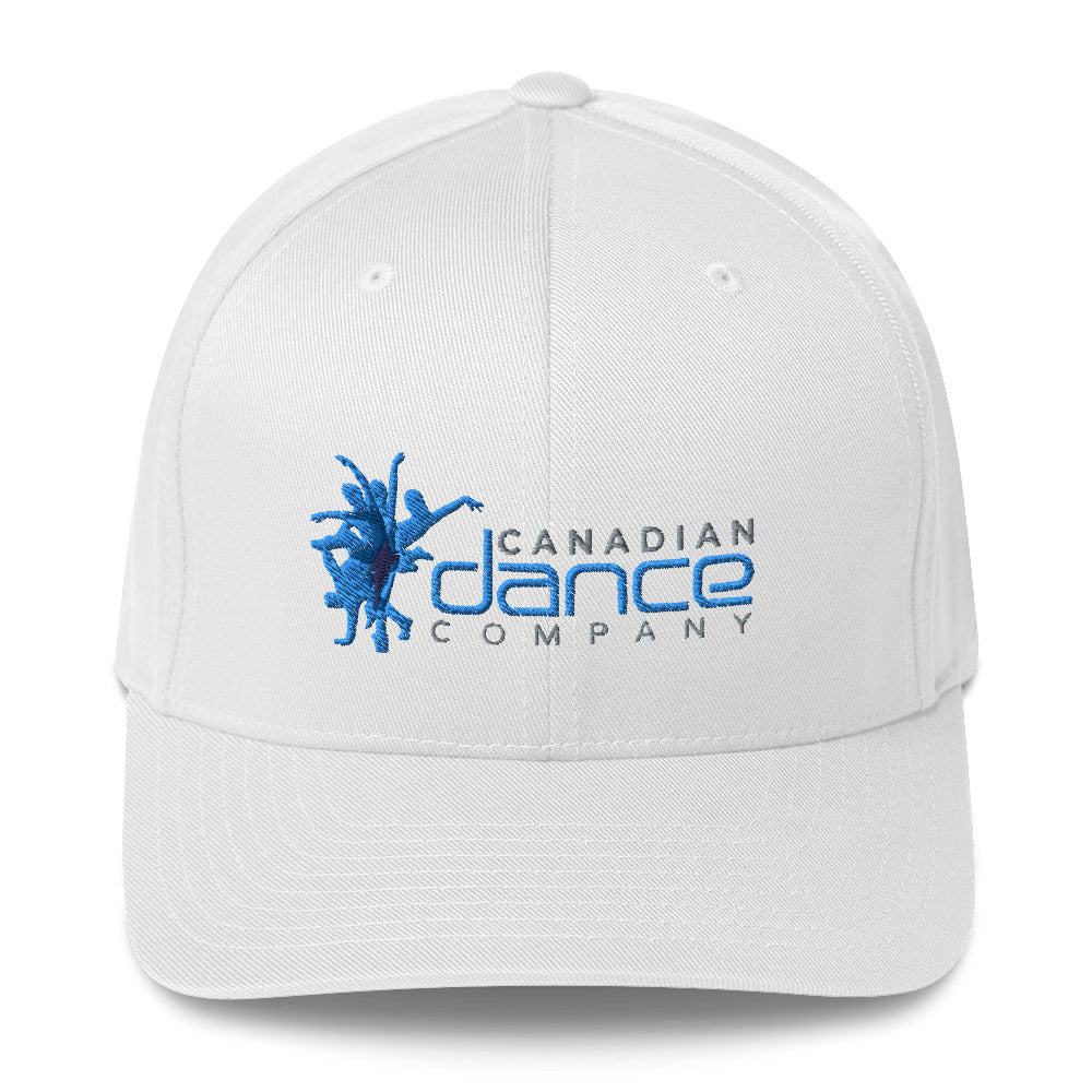 Fitted Hat (6 Colours)