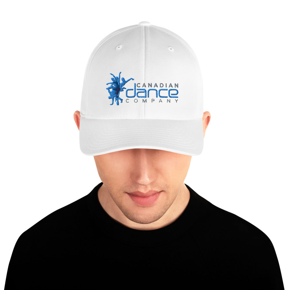 Fitted Hat (6 Colours)